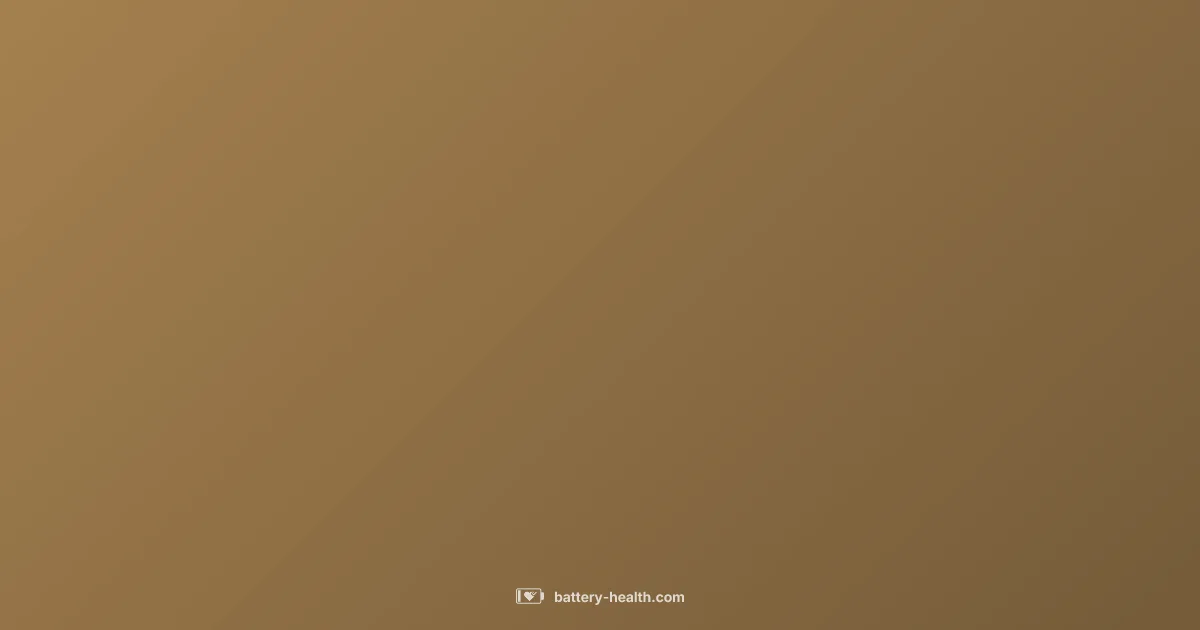 Battery Terminals Guide - Battery Health (illustration)