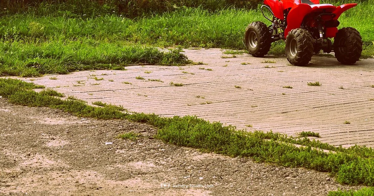 Battery Garden Blower Battery Garden Blower - Battery Health