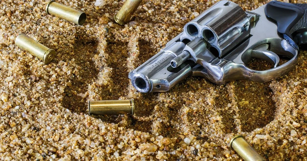 Deadly Weapon Battery Deadly Weapon Battery - Battery Health