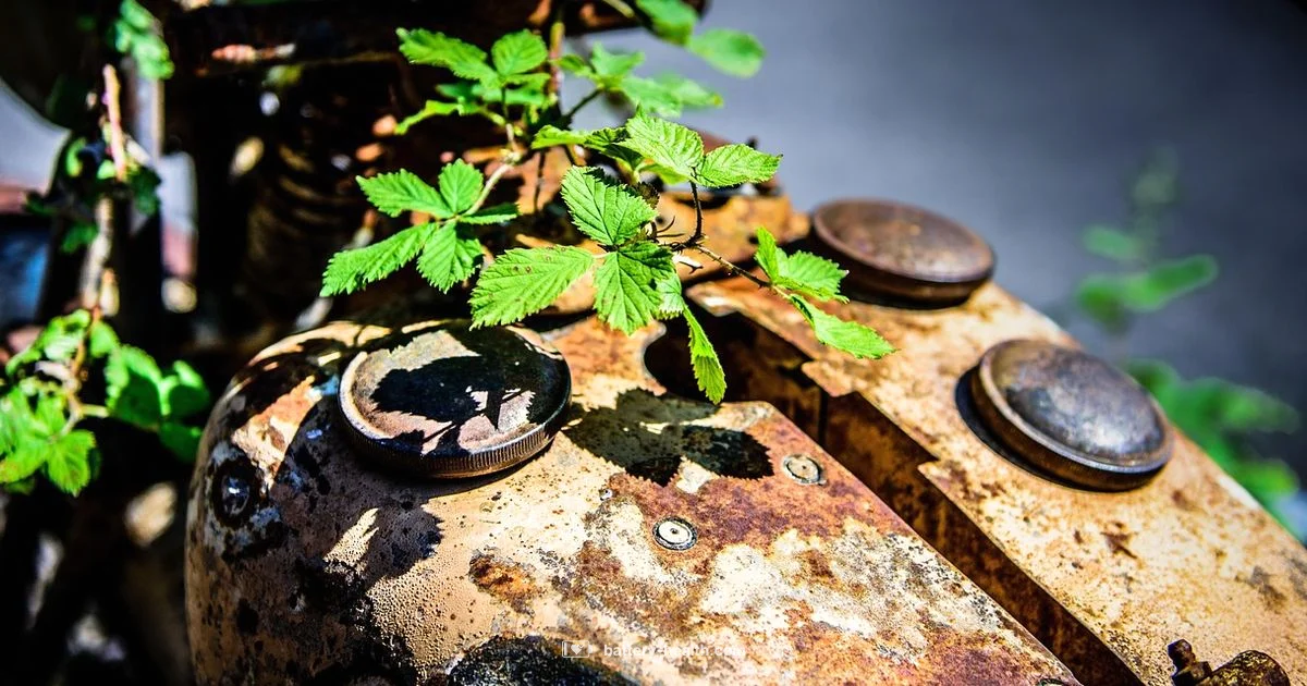 Terminal Cleaning Guide Terminal Cleaning Guide - Battery Health